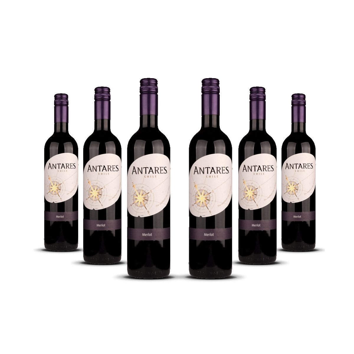 Antares Merlot 2024er Central Valley (6 x 0,75l)