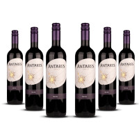 Antares Merlot 2024er Central Valley (6 x 0,75l)