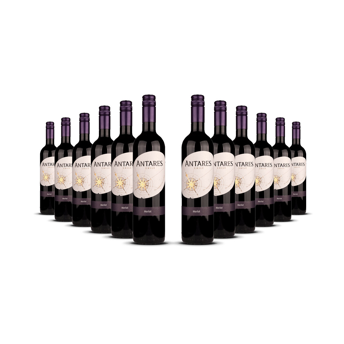 Antares Merlot 2024er Central Valley (12 x 0,75l)