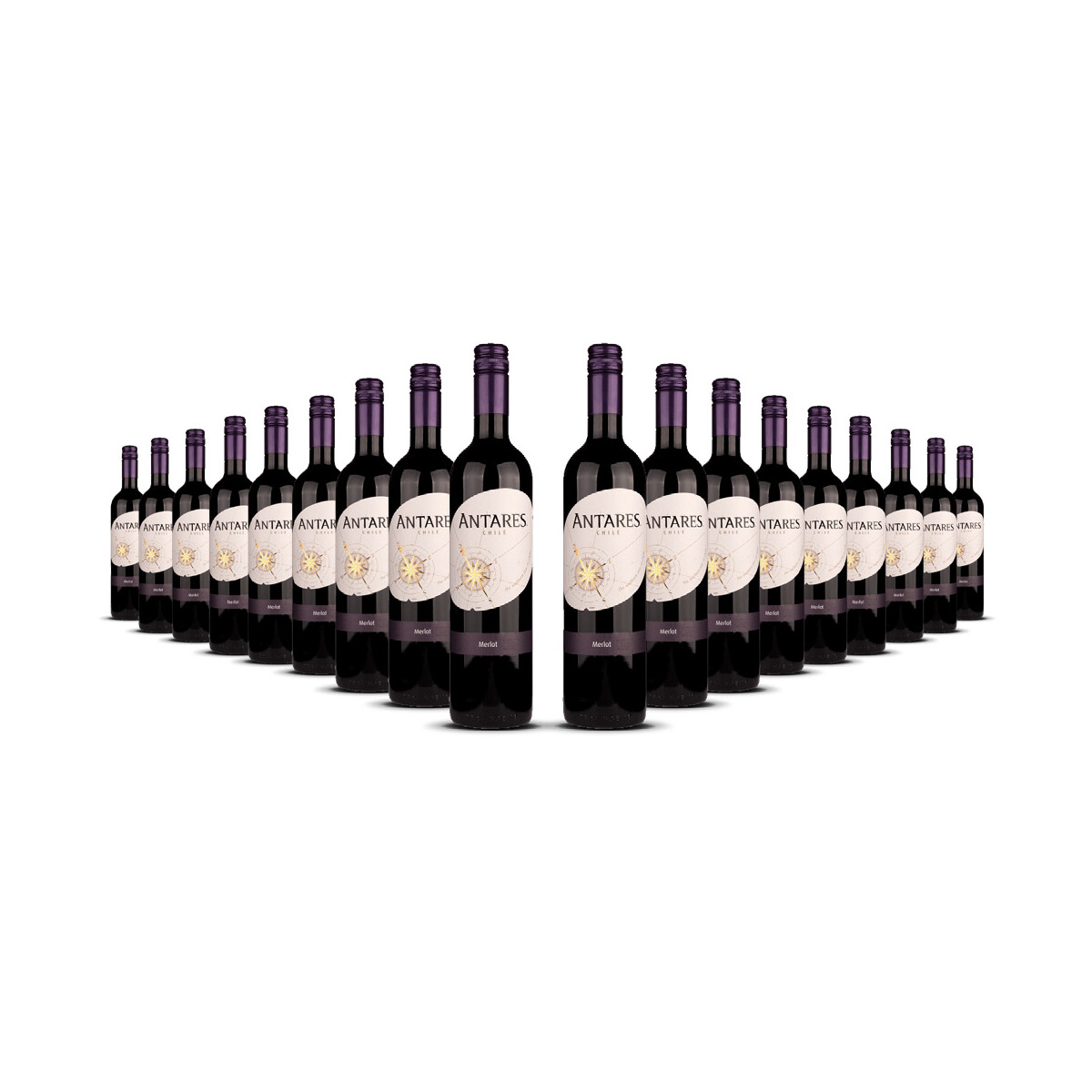 Antares Merlot 2024er Central Valley (18 x 0,75l)