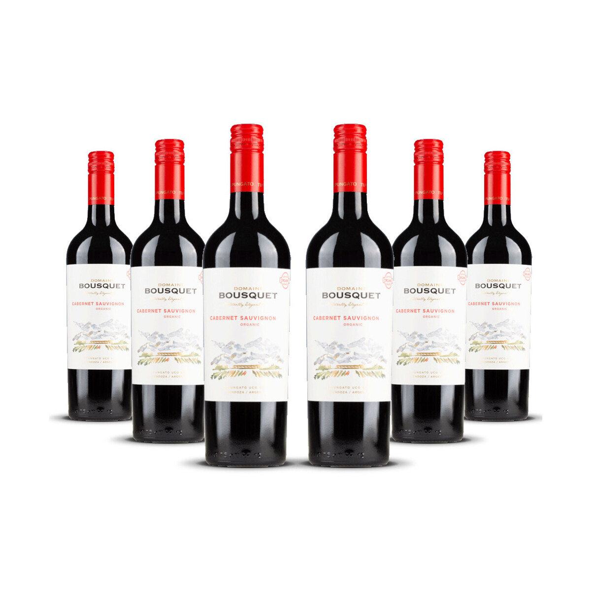 Domaine Bousquet Cabernet Sauvignon (bio) 2025er Uco...