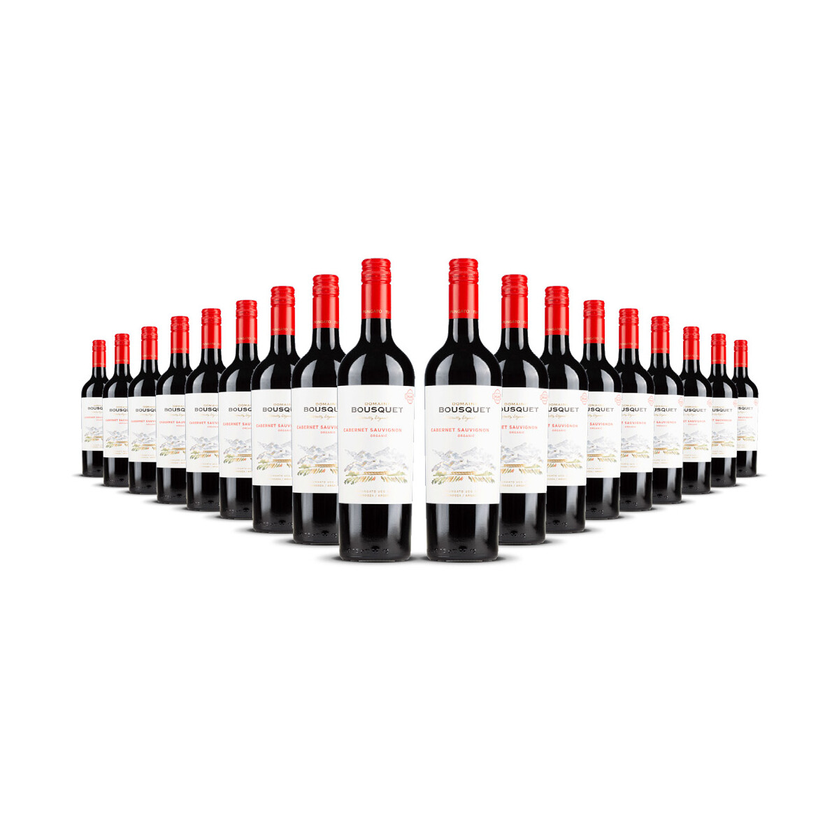 Domaine Bousquet Cabernet Sauvignon (bio) 2025er Uco...