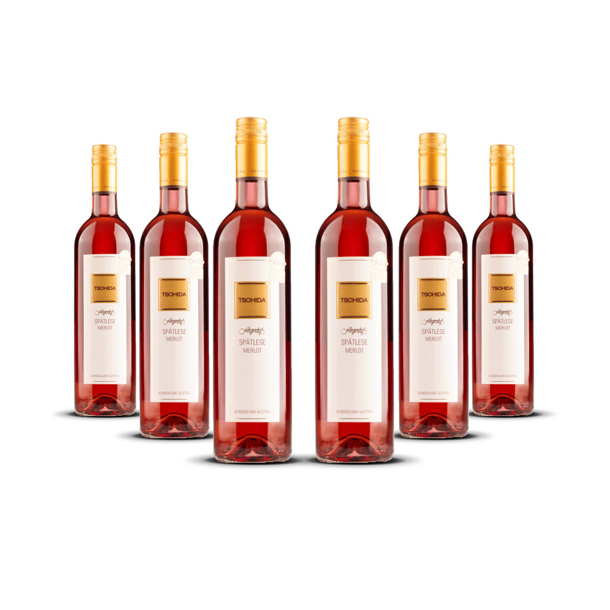 Weingut Tschida Spätlese Merlot 2024er Burgenland (6...