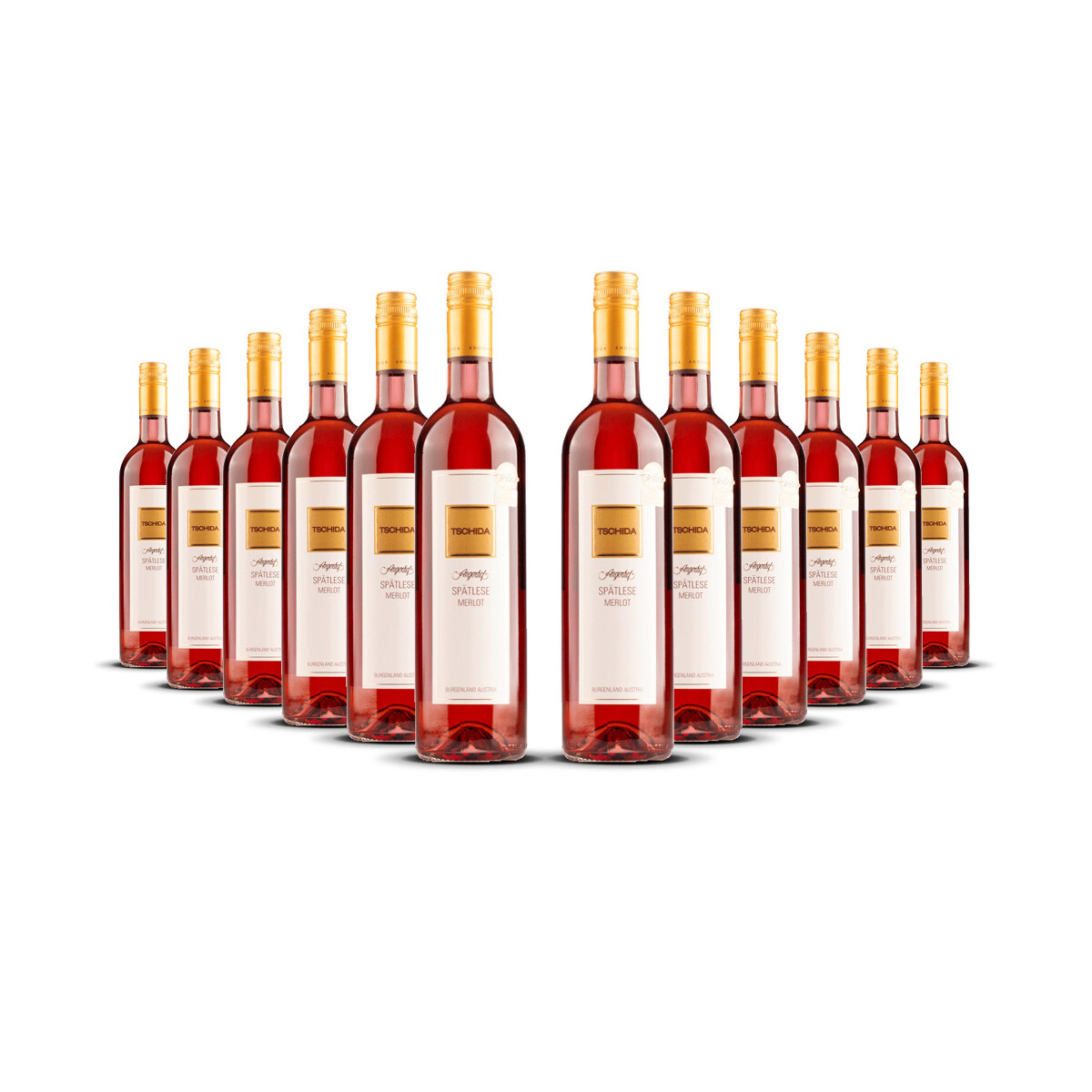 Weingut Tschida Spätlese Merlot 2024er Burgenland...