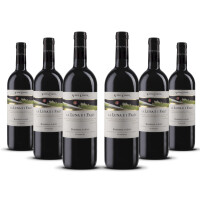 Vite Colte Barbera dAsti Superiore Luna e i Falo 2022er Piemont (6 x 0,75l)