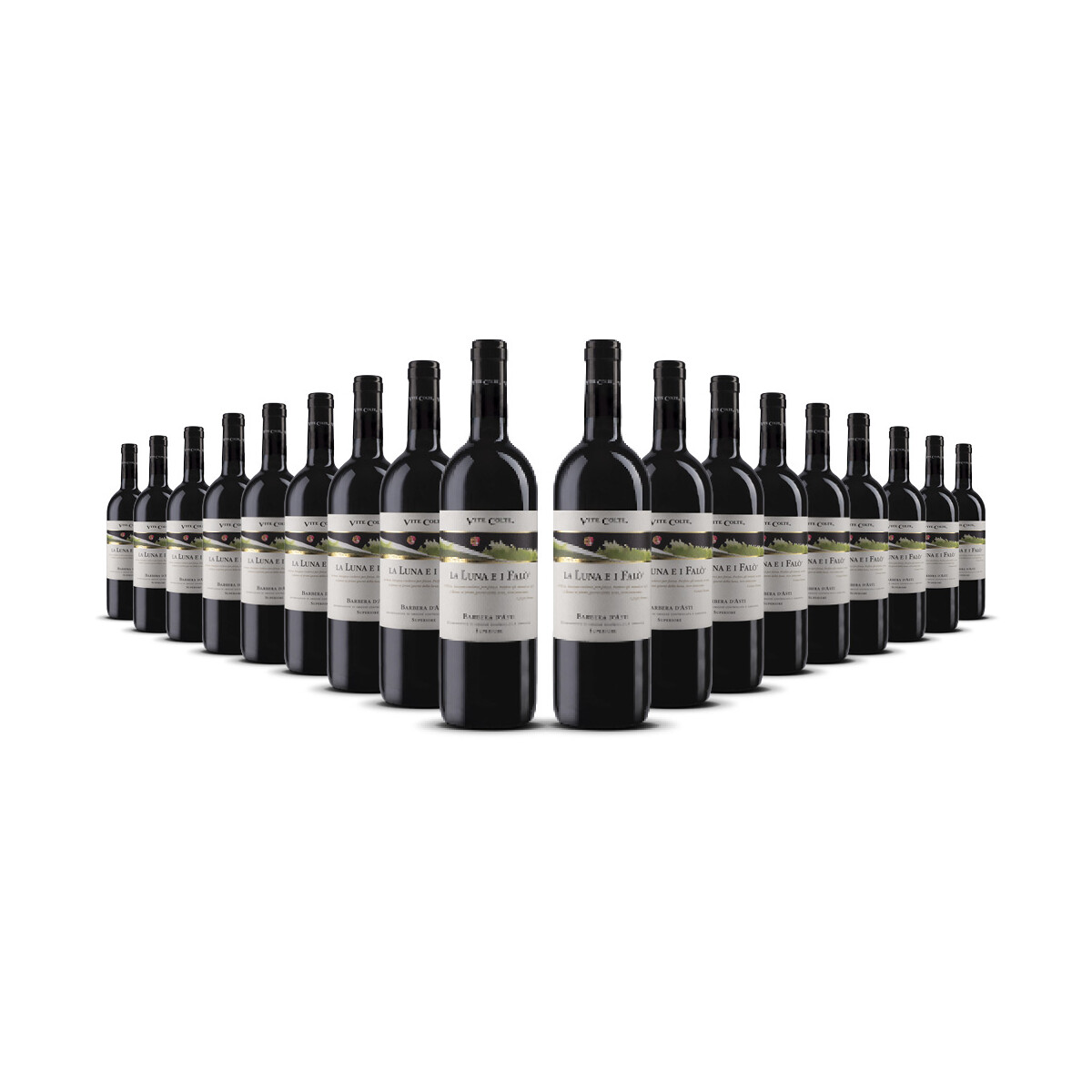 Vite Colte Barbera dAsti Superiore Luna e i Falo 2022er...