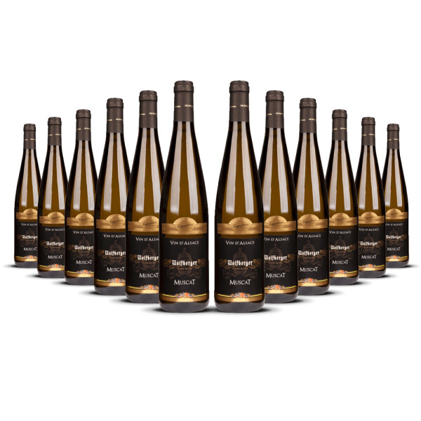 Wolfberger Muscat Signature 2024er Elsass (12 x 0,75l)