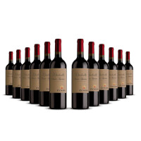 Zenato Valpolicella Classico Superiore 2022er Veneto (12 x 0,75l)
