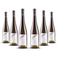 Gritsch Gruner Veltliner Loibenberg 2024er Nieder Österreich (6 x 0,75l)