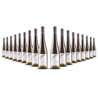 Gritsch Gruner Veltliner Loibenberg 2024er Nieder Österreich (18 x 0,75l)