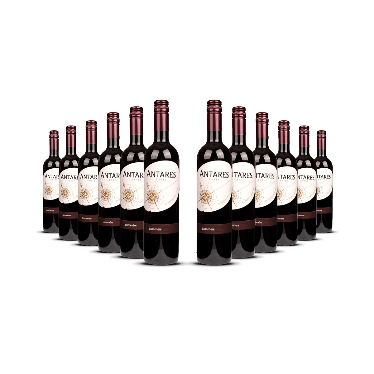 Antares Carmenère 2024er Central Valley (12 x 0,75l)