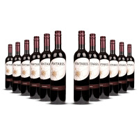 Antares Carmenère 2024er Central Valley (12 x 0,75l)