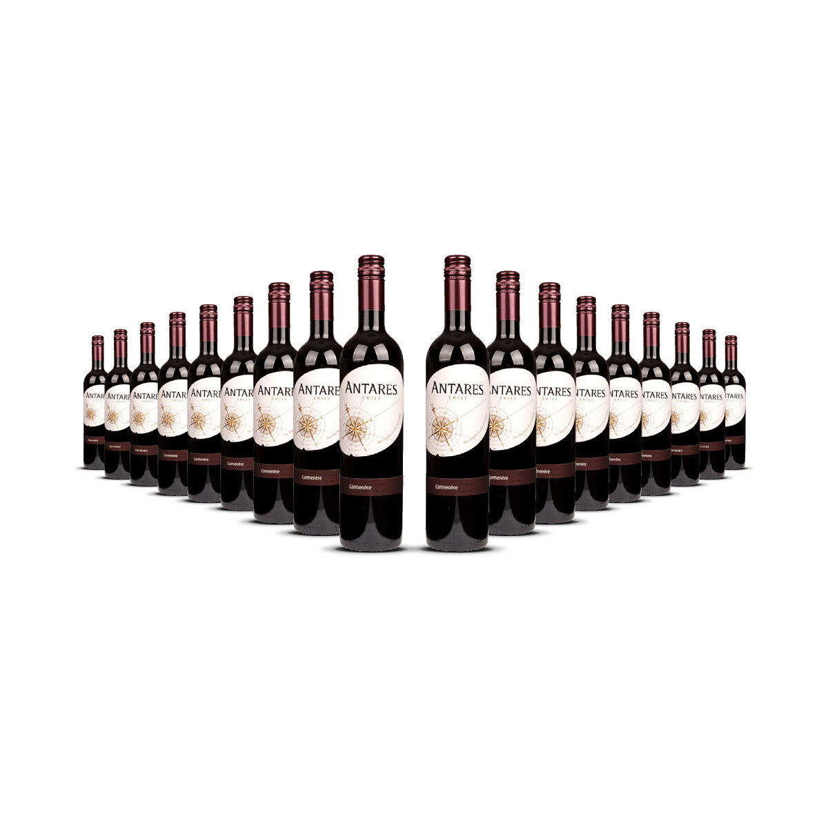 Antares Carmenère 2024er Central Valley (18 x 0,75l)