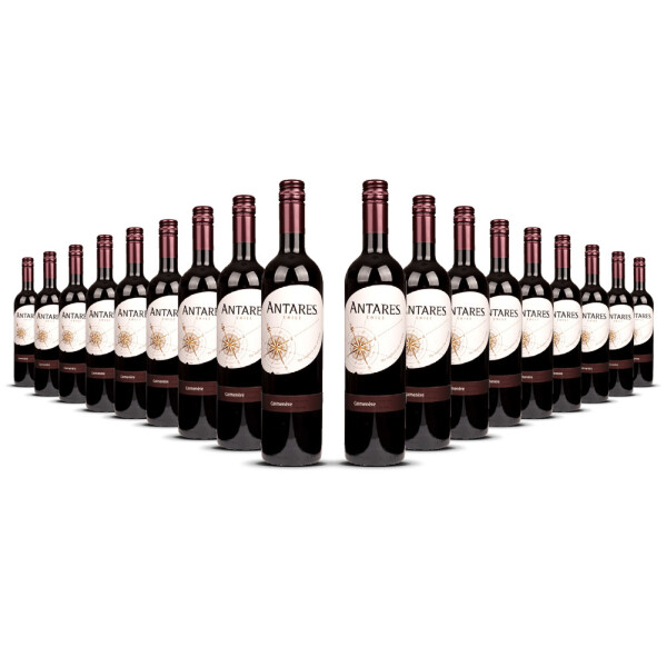 Antares Carmenère 2024er Central Valley (18 x 0,75l)