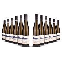 Mount Riley Pinot Gris 2025er Marlborough (12 x 0,75l)