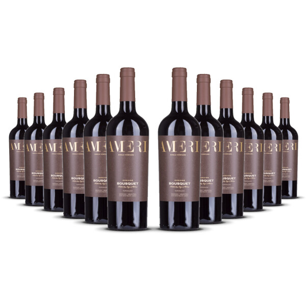 Domaine Bousquet Ameri single Vinyard Tupungato (bio) 2023er Uco Valley (12 x 0,75l)