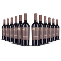 Domaine Bousquet Ameri single Vinyard Tupungato (bio) 2023er Uco Valley (12 x 0,75l)