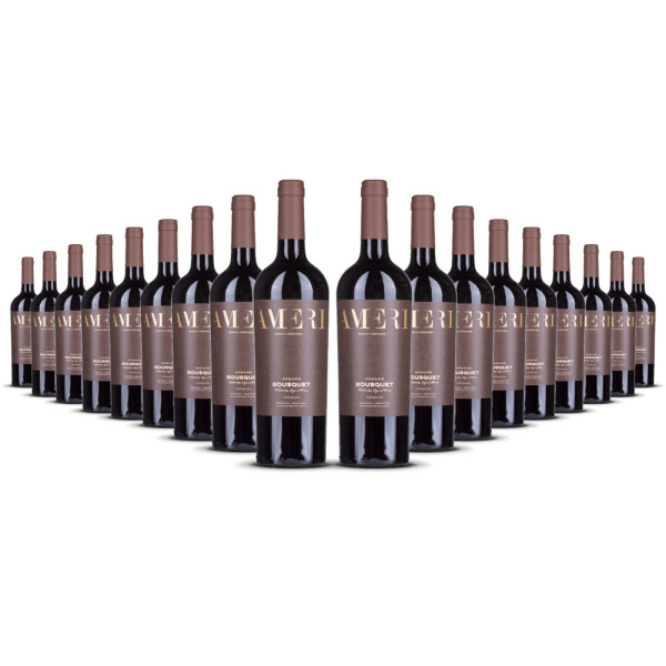 Domaine Bousquet Ameri single Vinyard Tupungato (bio) 2023er Uco Valley (18 x 0,75l)
