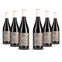 Antiche Terre Venete Valpolicella Ripasso Superiore 2022er Veneto (6 x 0,75l)