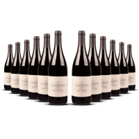Domaine Salmon Sancerre Rouge 2024er Loire (12 x 0,75l)
