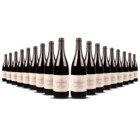 Domaine Salmon Sancerre Rouge 2024er Loire (18 x 0,75l)