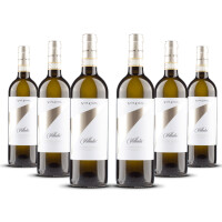 Vite Colte Roero Arneis Villata 2025er Piemont (6 x 0,75l)