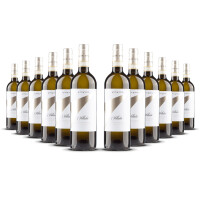 Vite Colte Roero Arneis Villata 2025er Piemont (12 x 0,75l)
