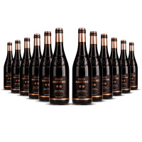 Cielo Gran Maestro Appassimento Rosso 2024er Apulien (12 x 0,75l)