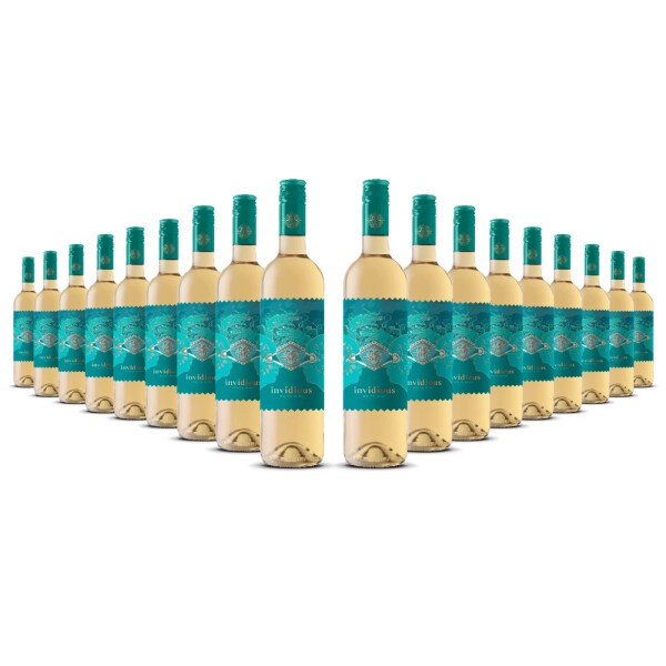 Invidious Blanco VdT Castilla 2025er Kastilien-La Mancha (18 x 0,75l)