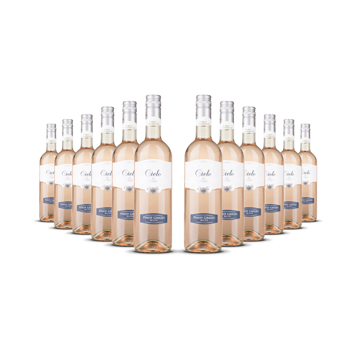 Cielo Pinot Grigio Rosé Blush 2025er Veneto (12 x...