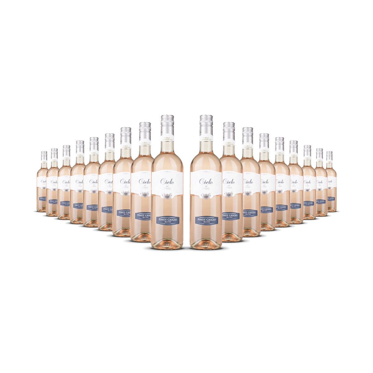 Cielo Pinot Grigio Rosé Blush 2025er Veneto (18 x...
