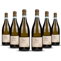 Zenato San Benedetto Lugana 2025er Veneto (6 x 0,75l)