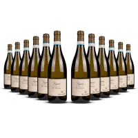 Zenato San Benedetto Lugana 2025er Veneto (12 x 0,75l)