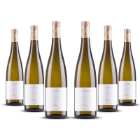 Tramin Pinot Bianco Moriz Alto Adige 2024er Trentino-Alto Adige (6 x 0,75l)