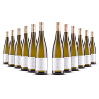 Tramin Pinot Bianco Moriz Alto Adige 2024er Trentino-Alto Adige (12 x 0,75l)
