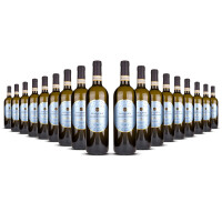 Vite Colte Gavi di Gavi Masseria dei Carmelitani 2025er Piemont (18 x 0,75l)