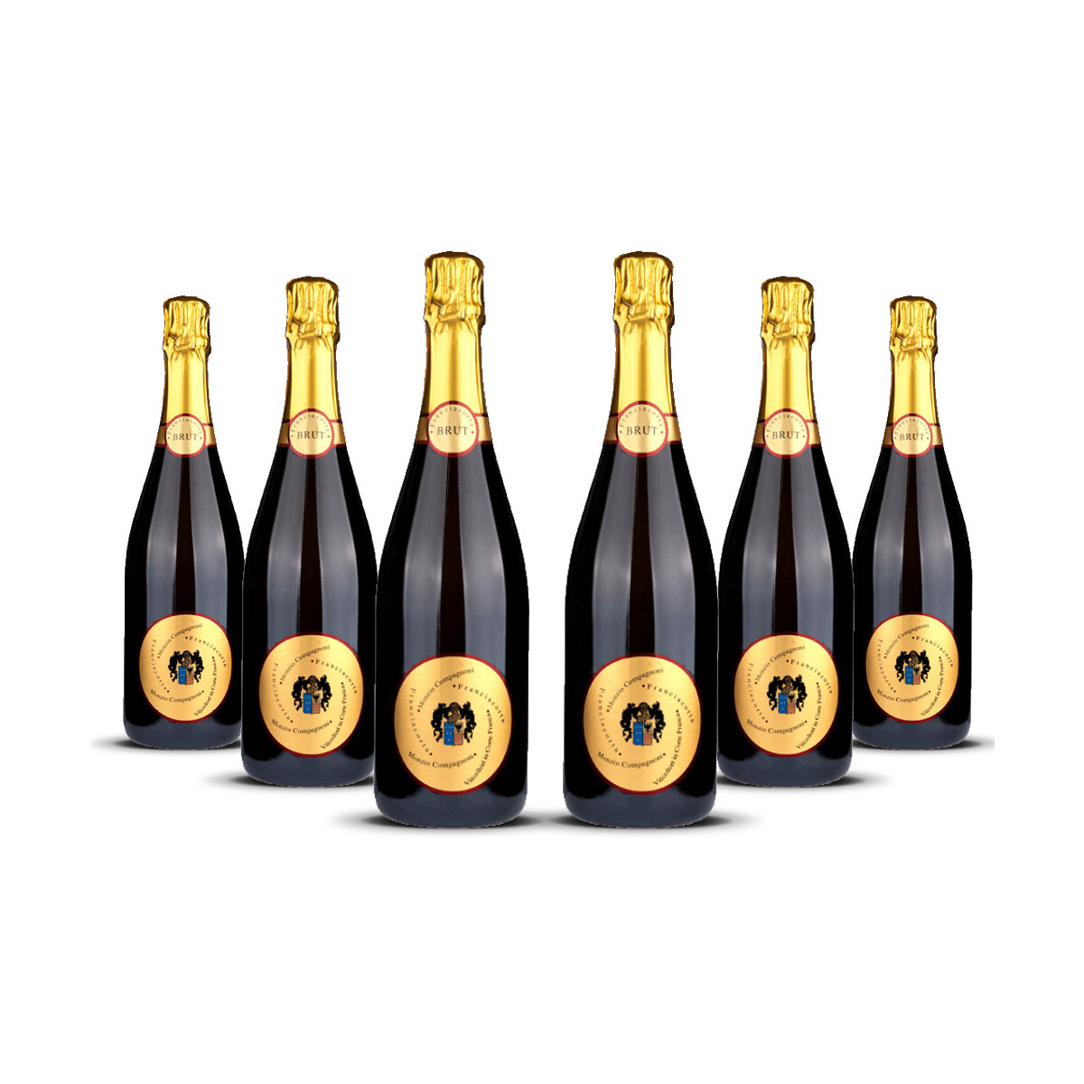 Franciacorta Brut Monzio Compagnoni 2022er Franciacorta...