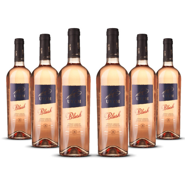 Biscardo UVAM Pinot Grigio Blush Rosato 2025er Veneto (6 x 0,75l)