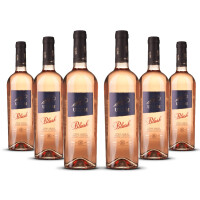 Biscardo UVAM Pinot Grigio Blush Rosato 2025er Veneto (6 x 0,75l)