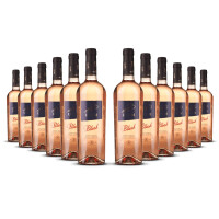 Biscardo UVAM Pinot Grigio Blush Rosato 2025er Veneto (12 x 0,75l)