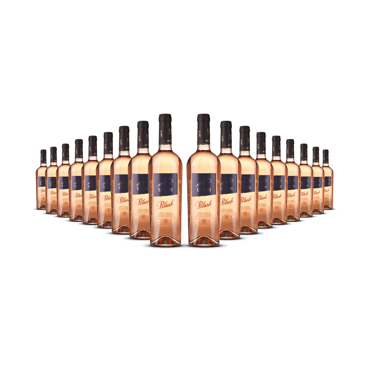 Biscardo UVAM Pinot Grigio Blush Rosato 2025er Veneto (18...