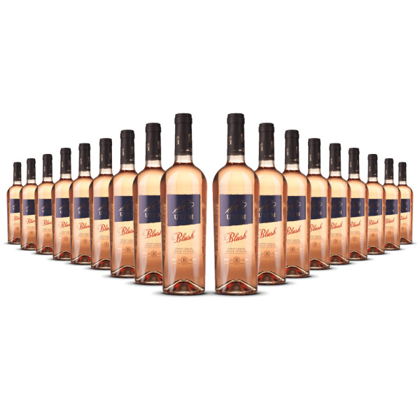 Biscardo UVAM Pinot Grigio Blush Rosato 2025er Veneto (18 x 0,75l)