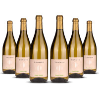 Tramin Pinot Grigio Alto Adige 2025er Trentino-Alto Adige (6 x 0,75l)