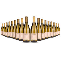 Tramin Pinot Grigio Alto Adige 2025er Trentino-Alto Adige (18 x 0,75l)