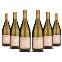 Tramin Chardonnay Alto Adige 2025er Trentino-Alto Adige (6 x 0,75l)