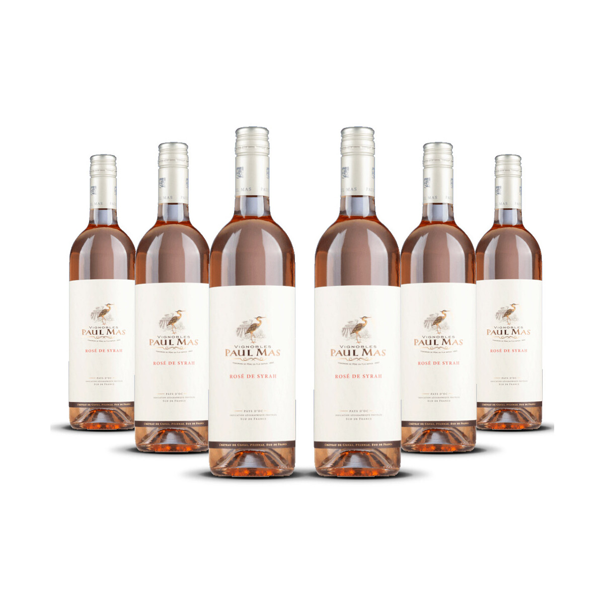 Paul Mas Classique Rosé de Syrah 2025er...