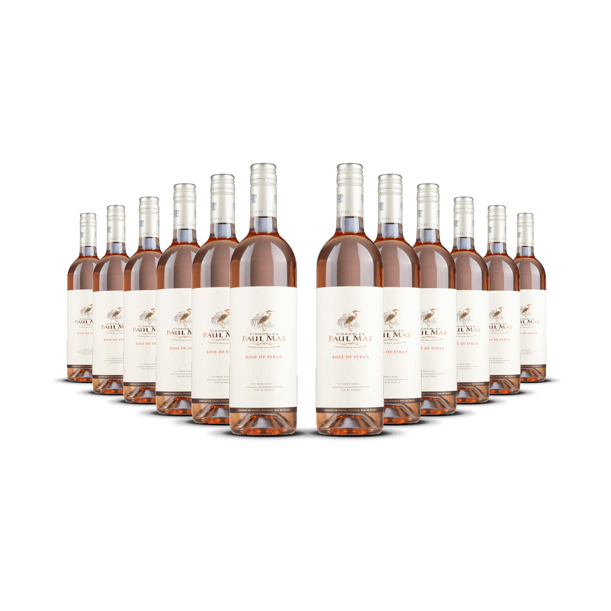 Paul Mas Classique Rosé de Syrah 2025er...