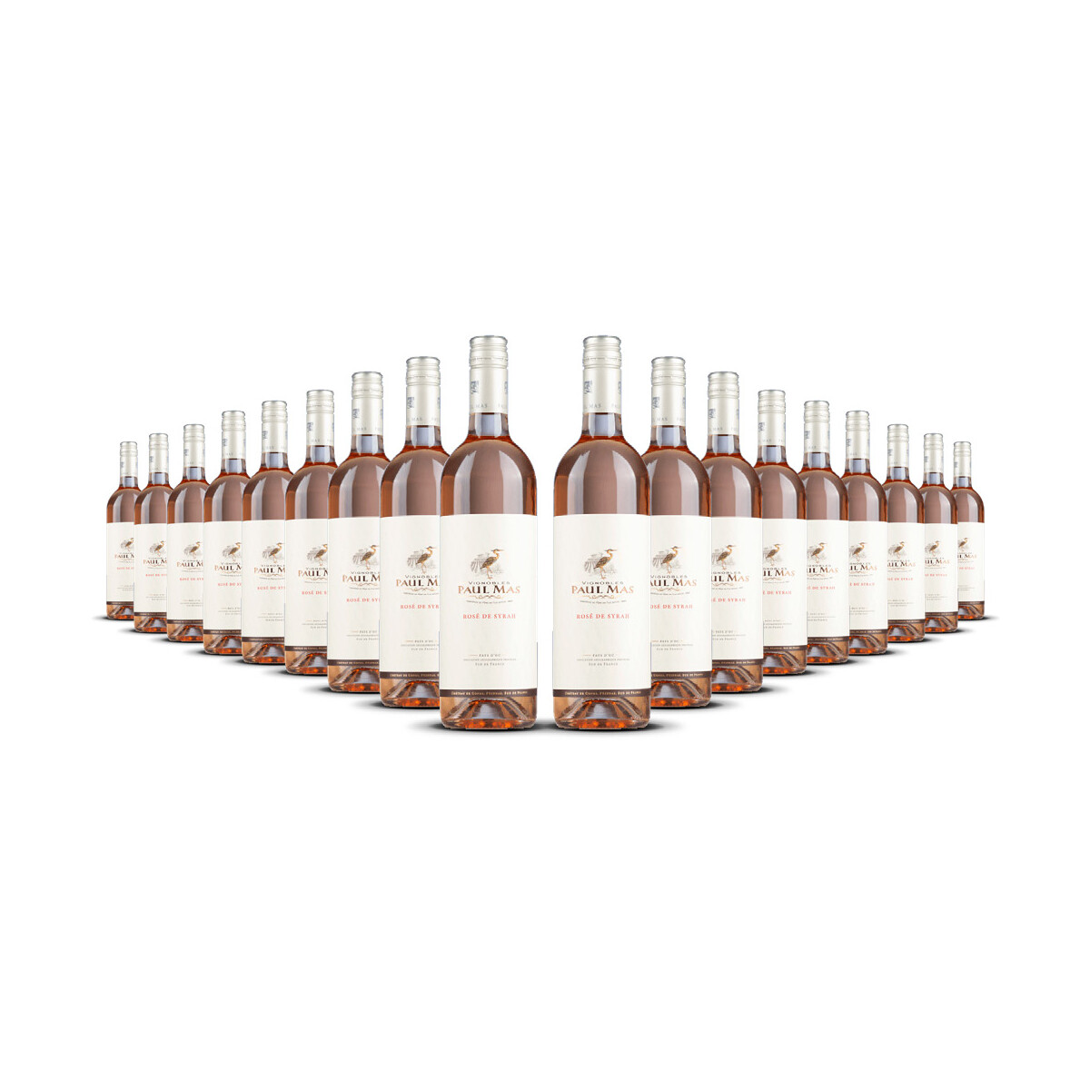 Paul Mas Classique Rosé de Syrah 2025er...