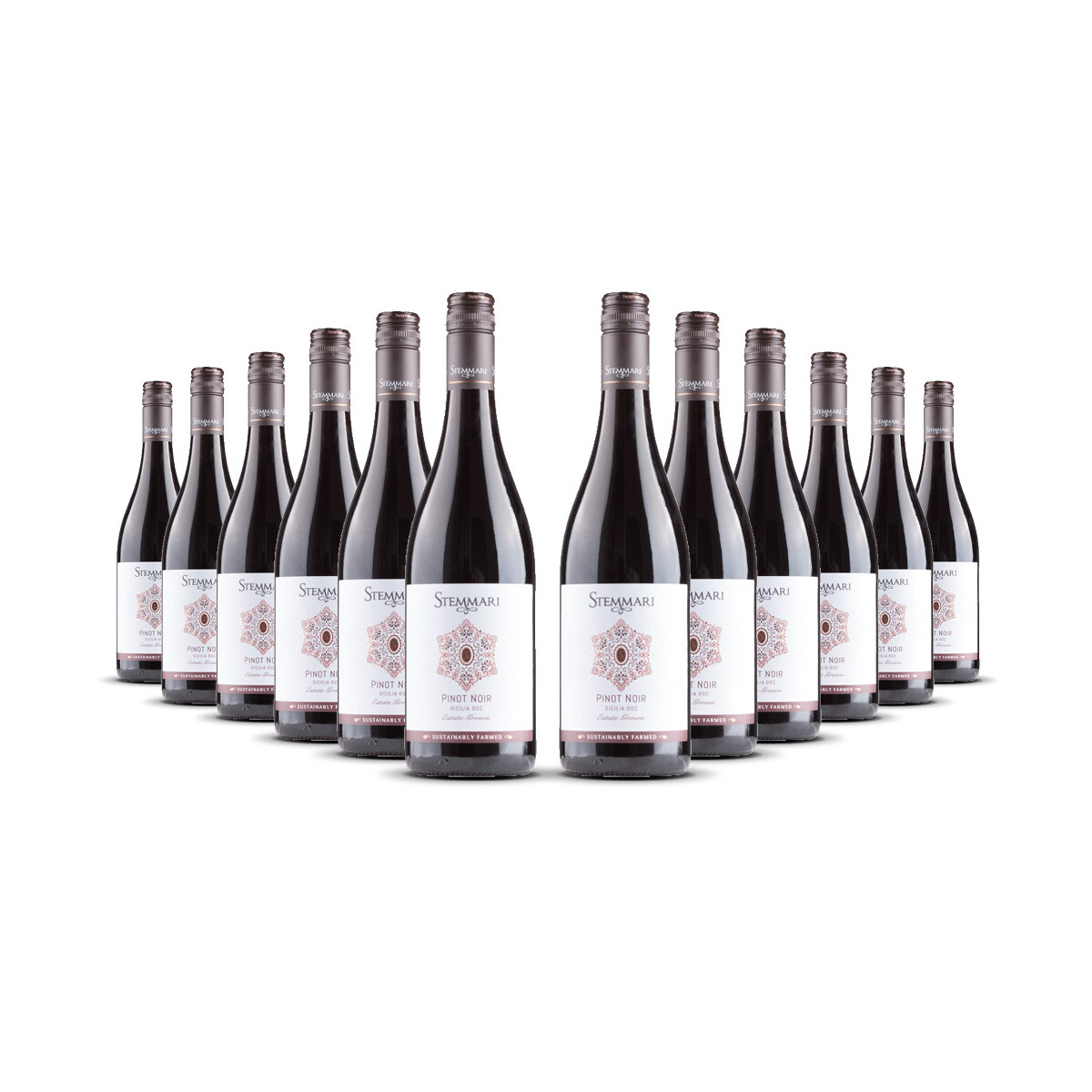Stemmari Pinot Noir IGT 2024er Sizilien (12 x 0,75l)