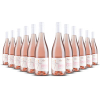 Ambroisie Cabernet dAnjou 2025er Loire (12 x 0,75l)